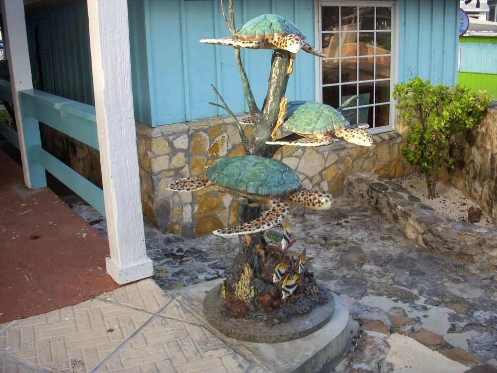 ג'ורג'טאון Two Turtles Inn מראה חיצוני תמונה